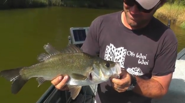 Image: Mick Fletoridis